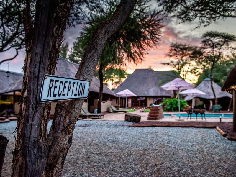A scenic view of a farm-style lodge pool area featuring traditional thatched roof buildings and gravel grounds at sunset.