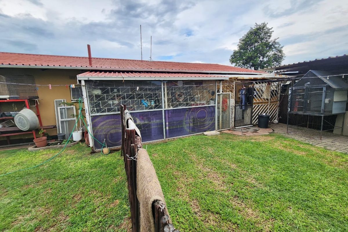 Rear view of the property featuring a lawn, paved area, and a covered patio structure with security bars and corrugated metal roofing.