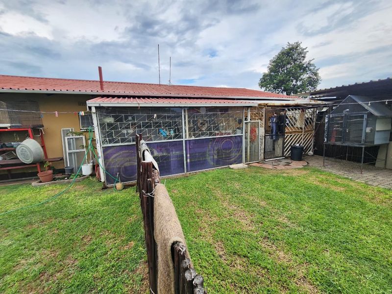 Rear view of the property featuring a lawn, paved area, and a covered patio structure with security bars and corrugated metal roofing.