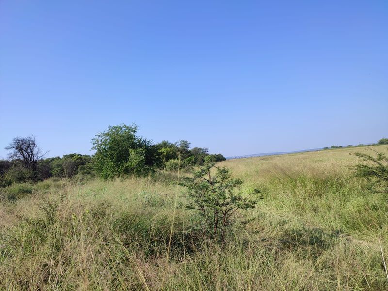 A wide-angle view of the open farm landscape featuring natural grasslands and scattered indigenous trees under a clear blue sky.