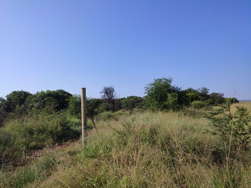 An expansive, undeveloped plot of land featuring natural vegetation, native trees, and a single fence post, typical of rural farm acreage.