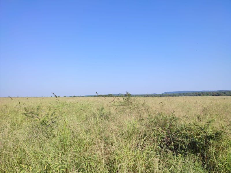 A wide-angle view of the expansive open grassland and natural landscape surrounding the farm property.