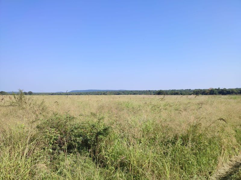 A wide, open expanse of natural grassland and meadow, showcasing the expansive landscape and rural character of the property.