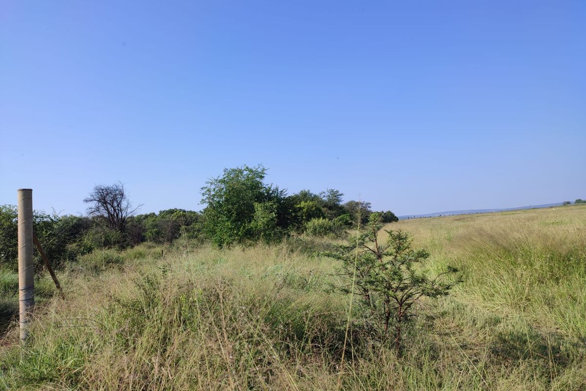 An expansive view of the open farm landscape featuring natural grassland and indigenous vegetation under a clear blue sky.