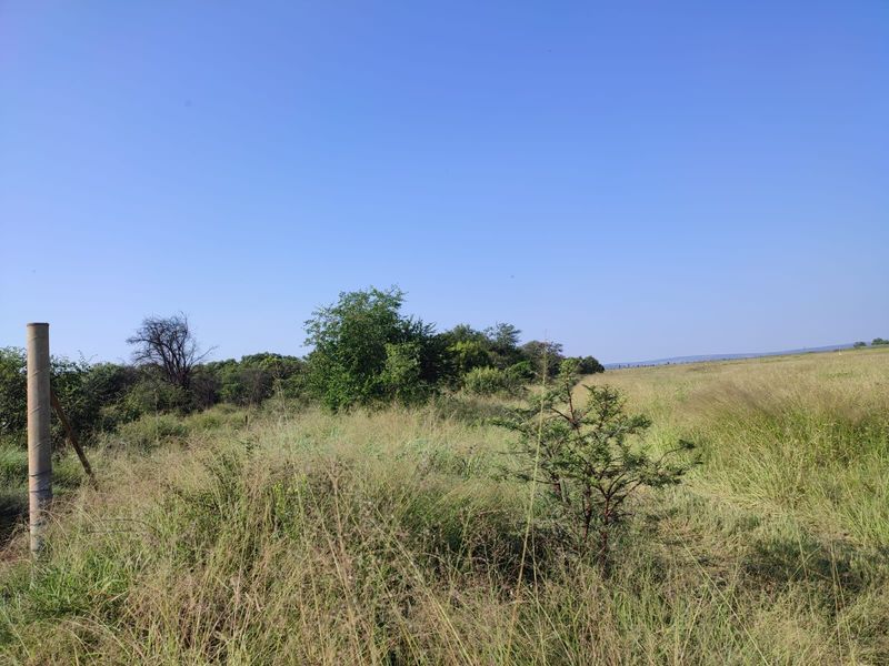 An expansive view of the open farm landscape featuring natural grassland and indigenous vegetation under a clear blue sky.
