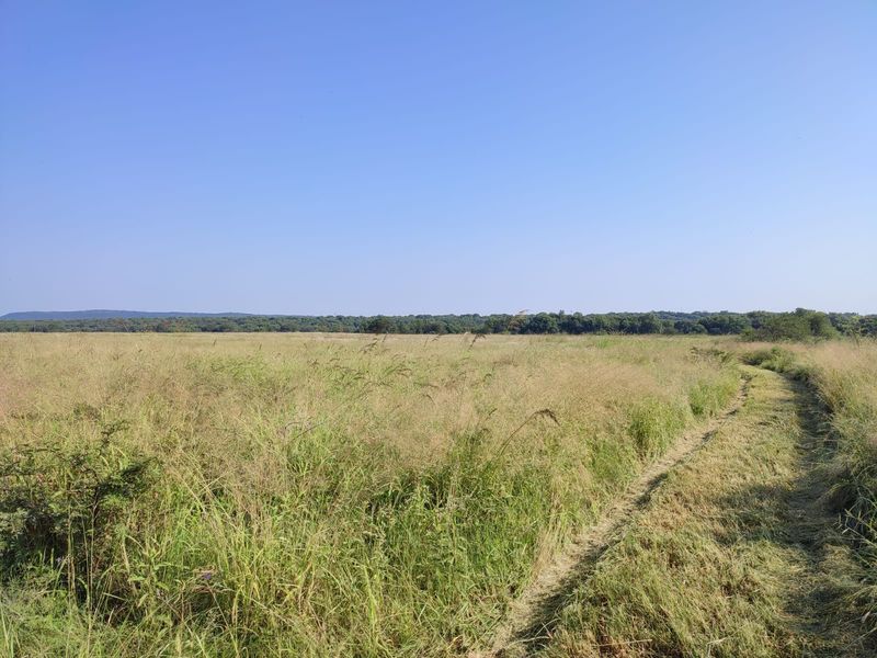 A wide-angle view of the expansive open grassland and natural landscape on the farm property.
