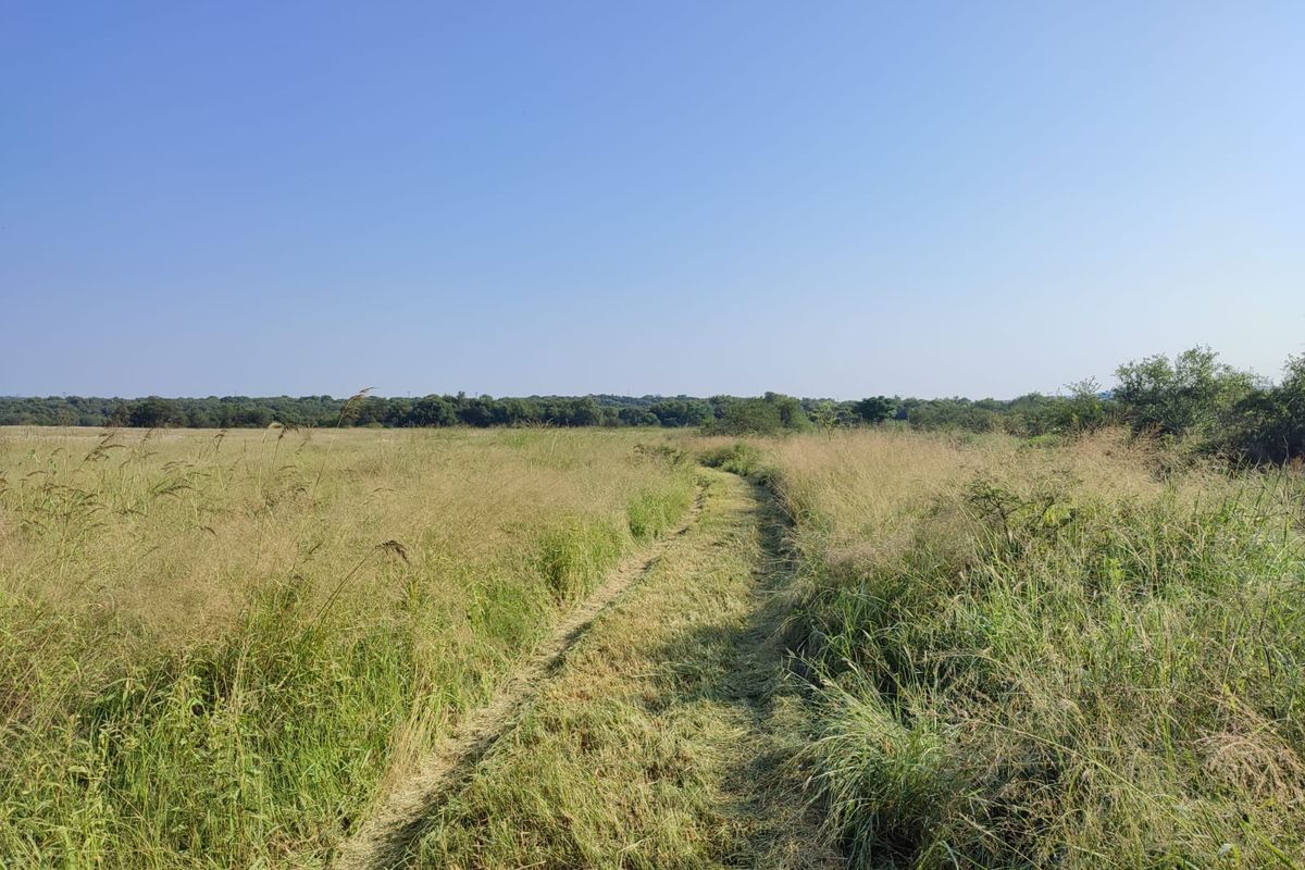 A wide-angle view of the farm property featuring open grassland and a natural dirt track leading through the landscape.