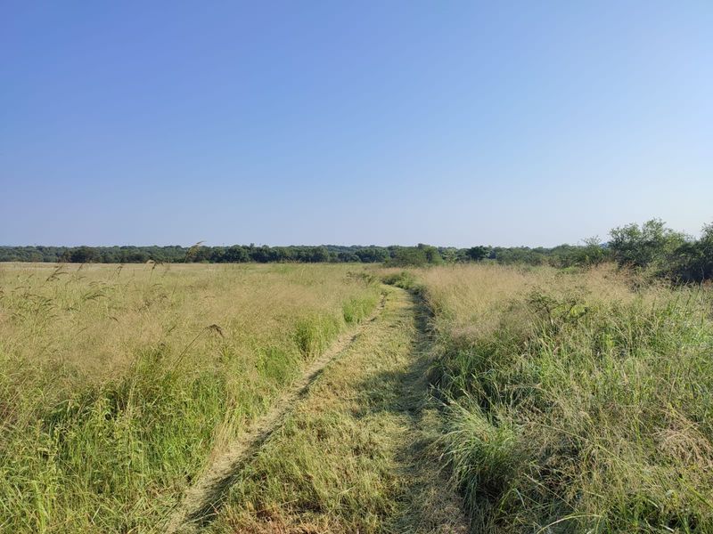 A wide-angle view of the farm property featuring open grassland and a natural dirt track leading through the landscape.