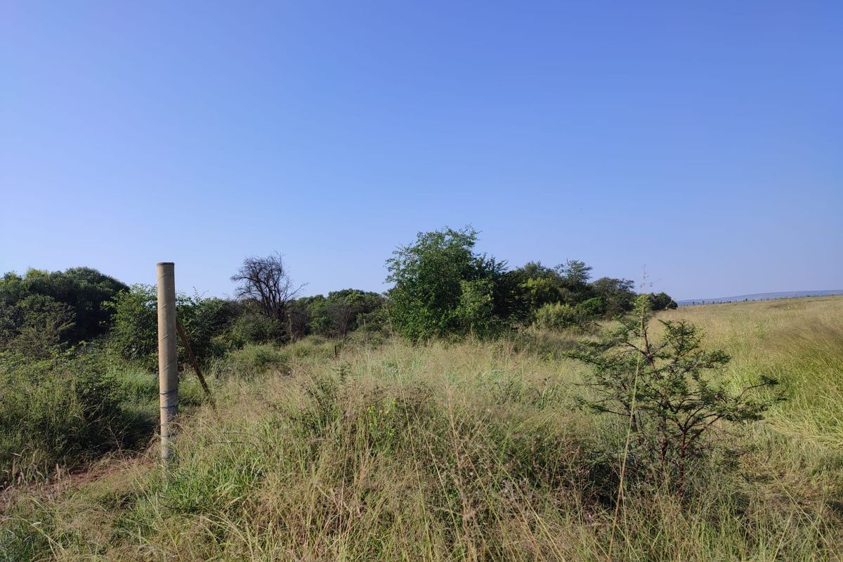 An expansive view of the natural farm landscape featuring native grasses, indigenous trees, and a perimeter fence post.