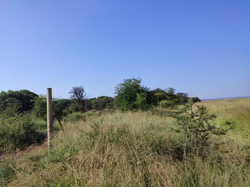 An expansive view of the natural farm landscape featuring native grasses, indigenous trees, and a perimeter fence post.