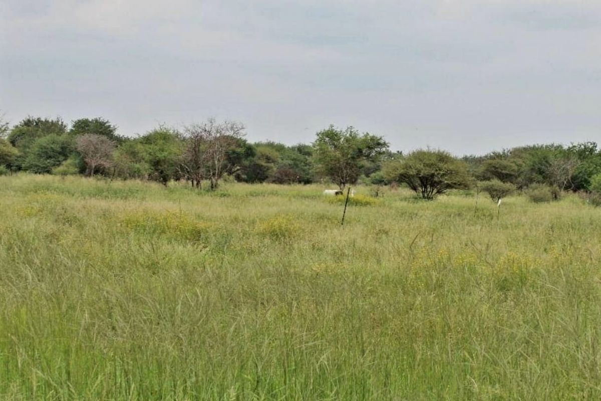 A view of a vacant residential plot featuring natural grassland and scattered indigenous trees.