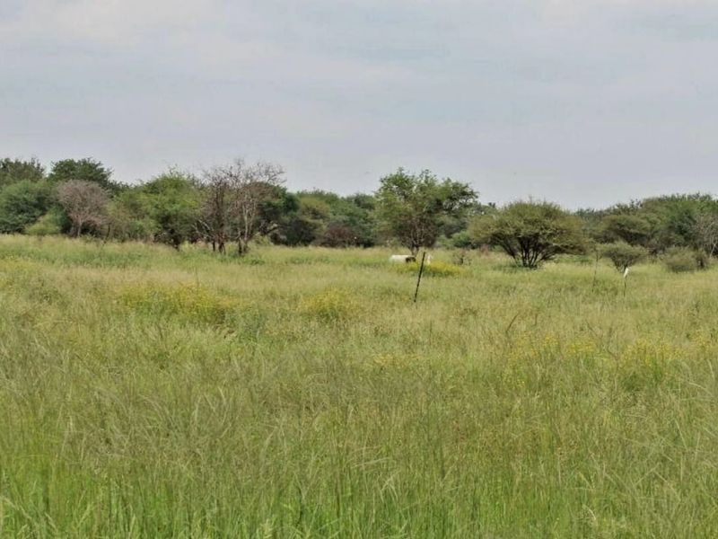A view of a vacant residential plot featuring natural grassland and scattered indigenous trees.