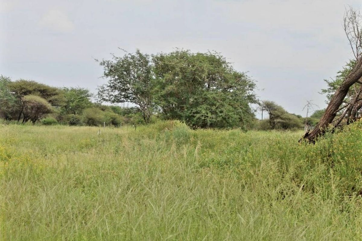 A view of the vacant residential land featuring natural grassland and mature native trees.