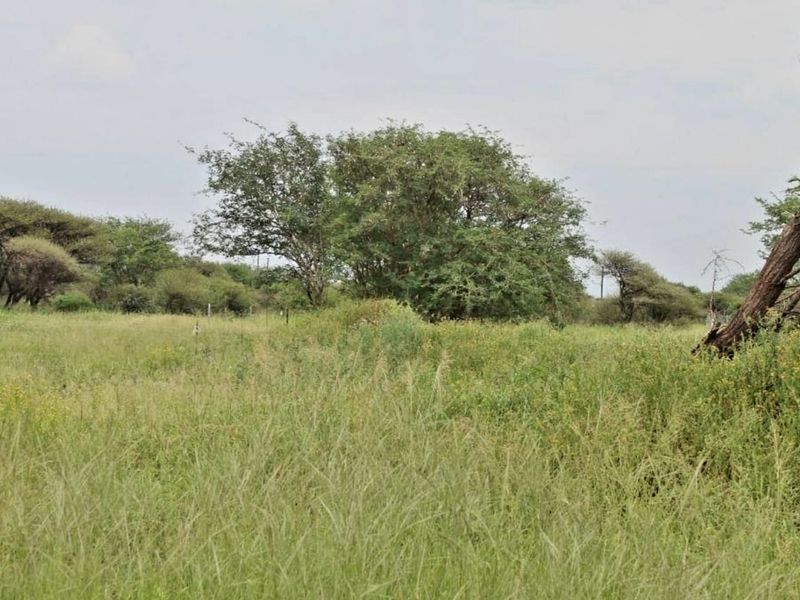 A view of the vacant residential land featuring natural grassland and mature native trees.