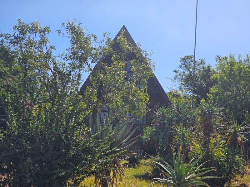 A-frame house exterior featuring timber cladding and large windows, surrounded by established garden foliage.