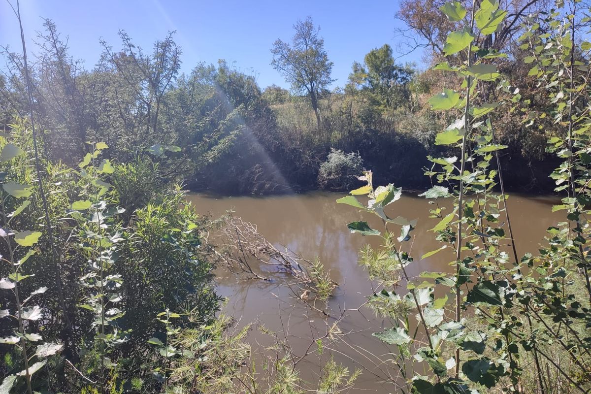 A natural view of a river flowing through the property, surrounded by established trees and native vegetation.