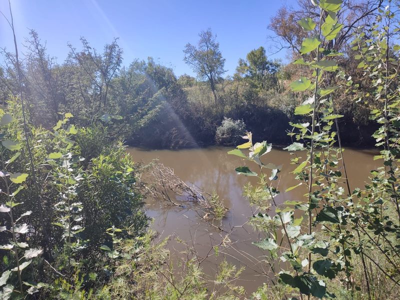 A natural view of a river flowing through the property, surrounded by established trees and native vegetation.