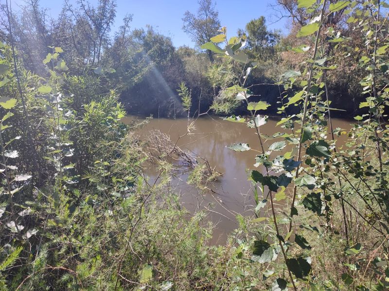 A natural view of a river or stream bordered by native trees and vegetation on the residential property.
