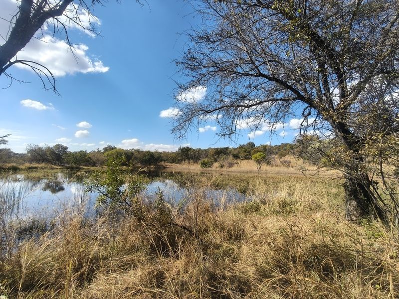 A scenic view of a natural pond surrounded by indigenous trees and grassland on the farm property.