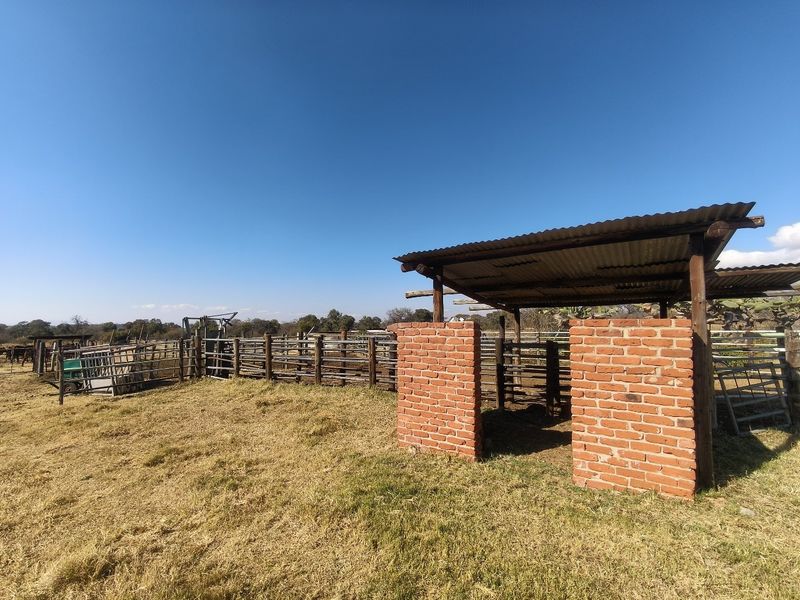 Outdoor livestock handling facility featuring a covered brick and timber structure with extensive metal fencing and cattle crush infrastructure.