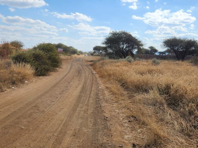 A view of an unpaved dirt road leading through a vacant residential area with natural dry grass and scattered trees.