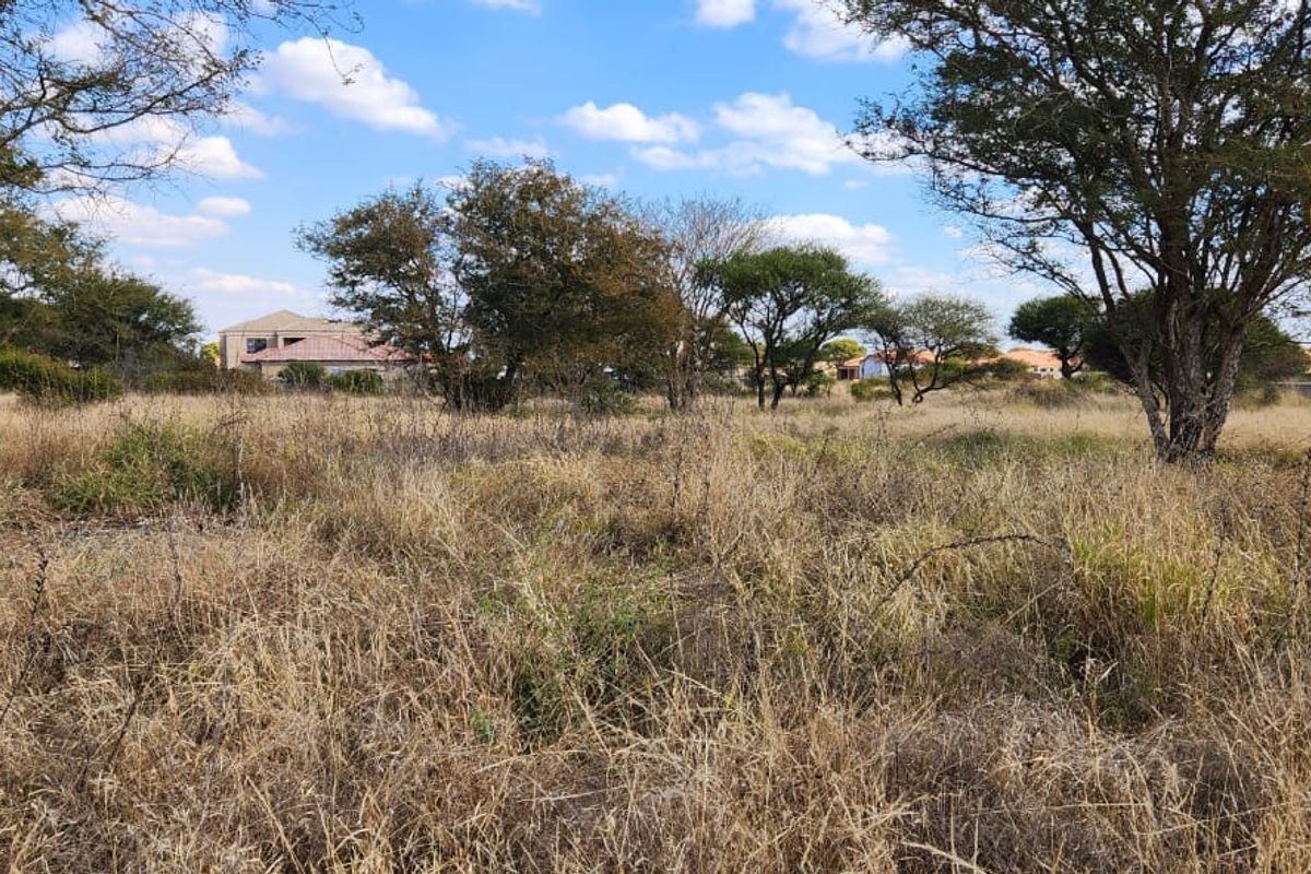 A view of a vacant residential plot featuring natural vegetation and mature trees, situated within an established neighborhood setting.