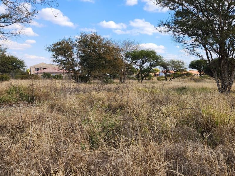 A view of a vacant residential plot featuring natural vegetation and mature trees, situated within an established neighborhood setting.