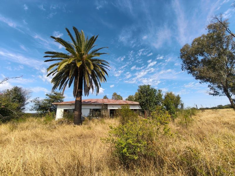 Front view of a single-story house featuring a corrugated metal roof and masonry construction, set within an overgrown, unmaintained rural landscape.