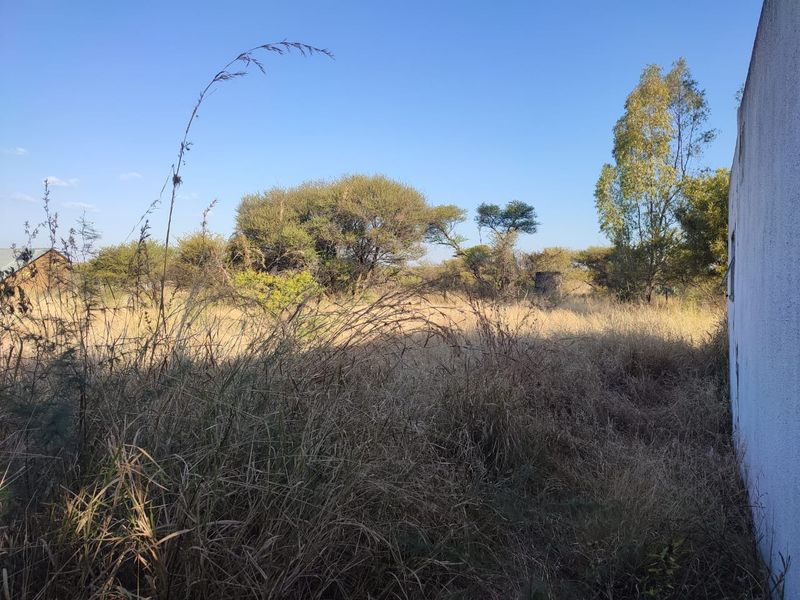View of the rear exterior wall and the surrounding overgrown natural landscape.