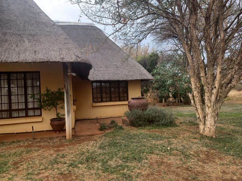 Rear view of a house featuring a traditional thatched roof, timber-framed windows, and a surrounding garden area with mature trees.