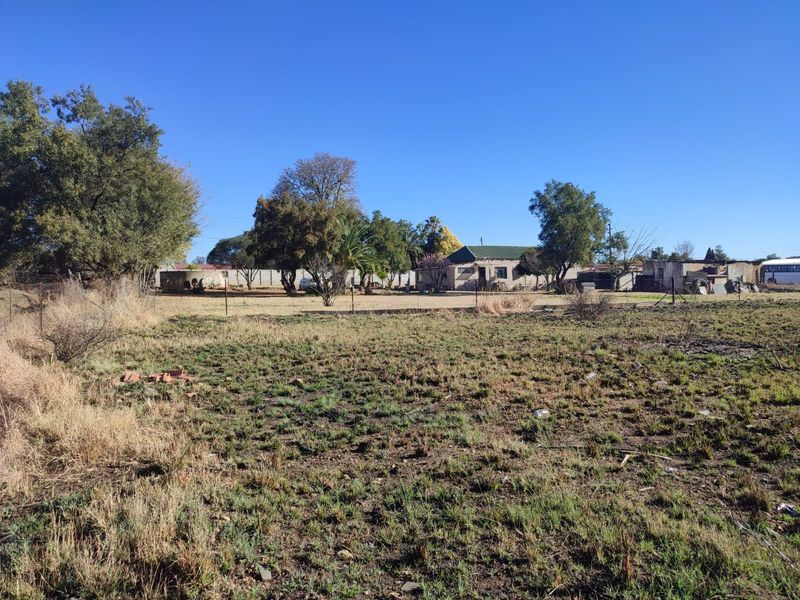 A wide-angle view of a vacant residential plot featuring natural grassland, mature trees, and perimeter wire fencing under a clear blue sky.