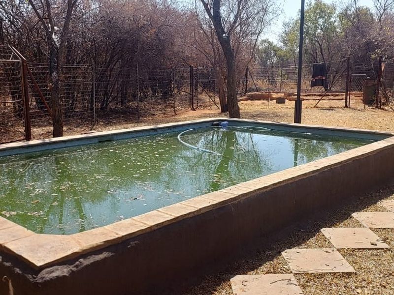 An outdoor raised swimming pool area featuring stone coping and perimeter fencing, currently requiring significant maintenance and water treatment.