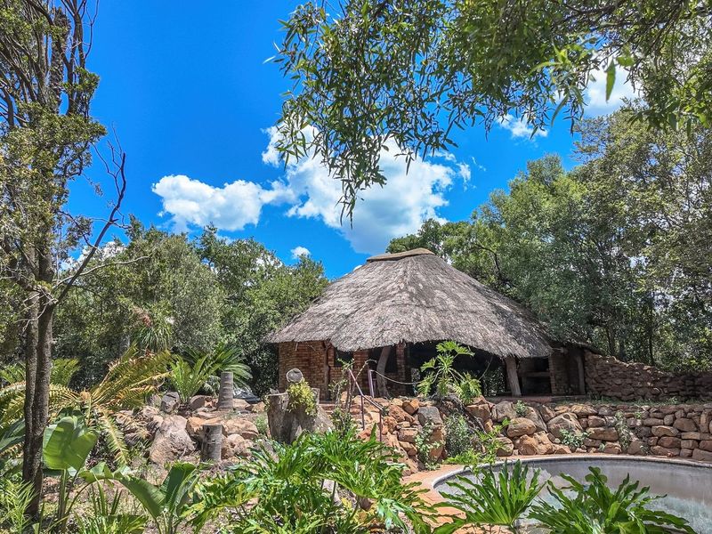 Outdoor pool area featuring a rustic thatch-roofed lapa, stone retaining walls, and established garden surroundings on the farm property.