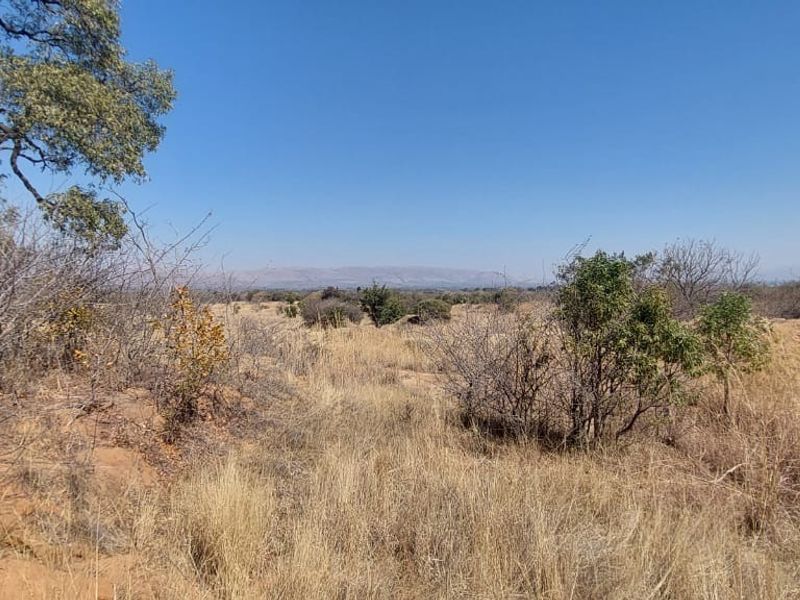 Expansive view of the natural farm landscape featuring indigenous trees and dry grassland under a clear blue sky.
