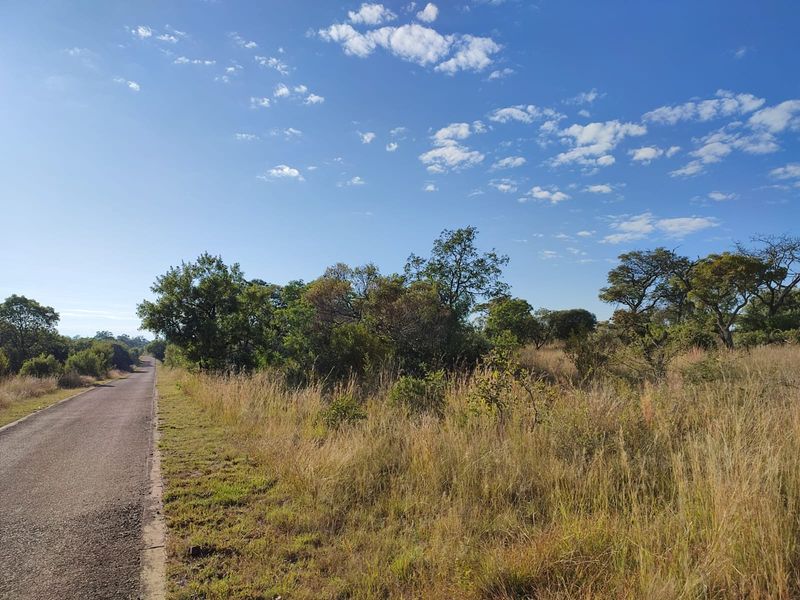 A view of a paved access road bordering a vacant residential plot with natural bushveld vegetation.