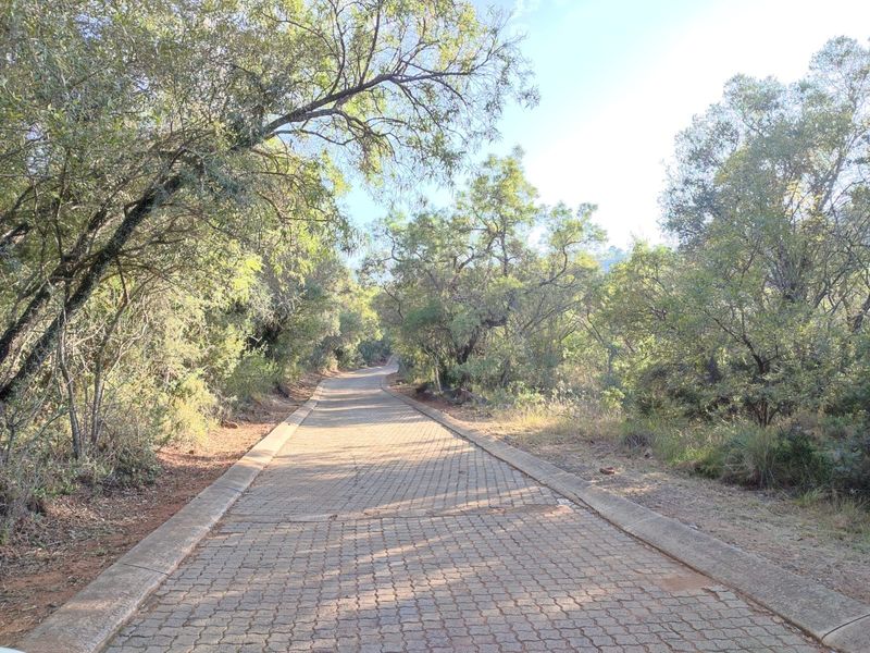 A paved driveway leading through a wooded area, featuring concrete curbing and mature trees along the path.