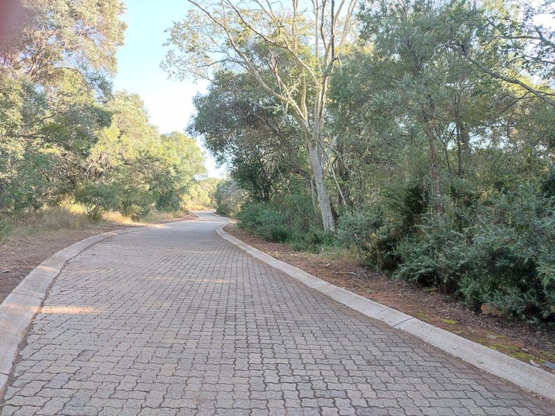 A paved residential driveway winding through a lush, tree-lined landscape, providing access to the property.