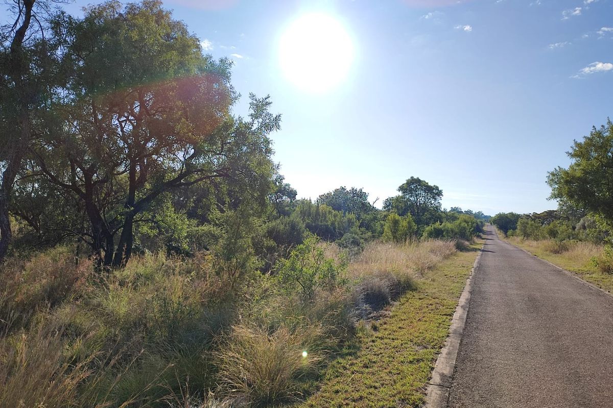 A view of the asphalt access road and surrounding natural vegetation bordering the vacant residential land.