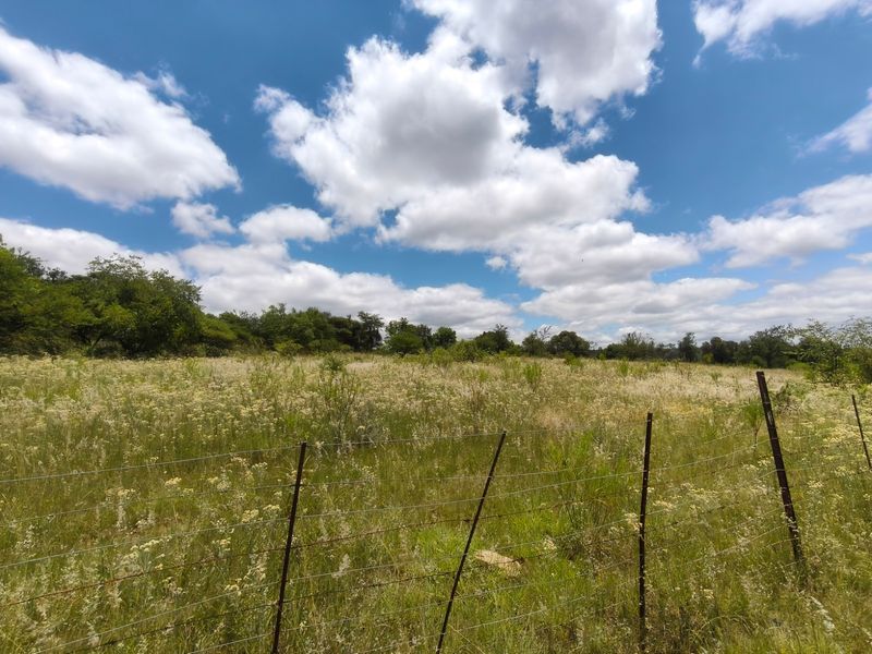 A wide-angle view of an open farm field featuring natural vegetation and a perimeter wire fence under a bright blue sky.