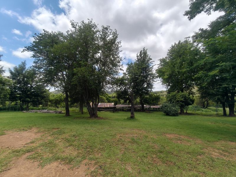 A spacious, well-maintained garden area featuring mature trees, expansive lawn, and perimeter fencing on the farm property.