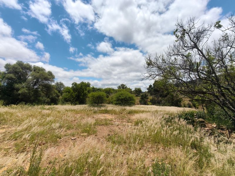 A wide-angle view of the expansive natural landscape and mature trees on the farm property.
