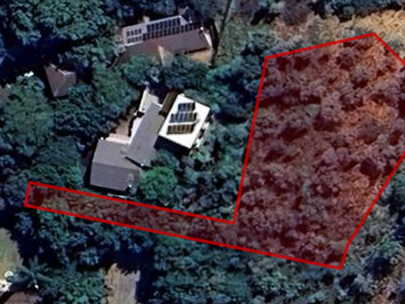 An aerial view of a residential vacant land plot outlined in red, featuring dense vegetation and surrounding trees.