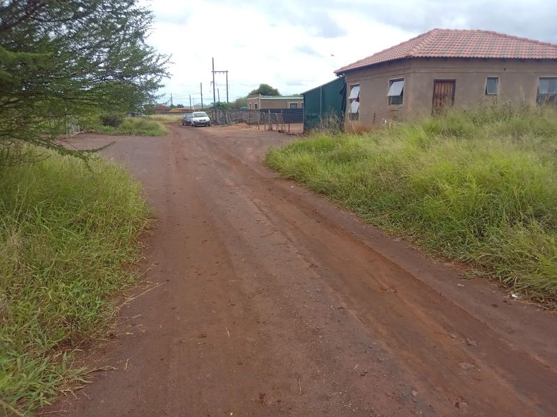 A view of an unpaved residential street approach featuring a single-story dwelling with a tiled roof and surrounding overgrown vegetation.