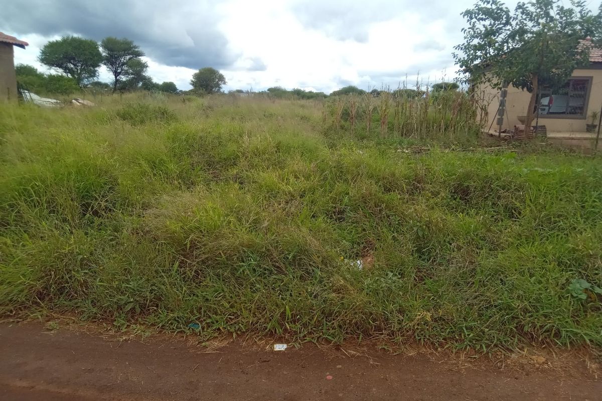 A view of an undeveloped residential plot featuring overgrown grass and direct access from a dirt road.