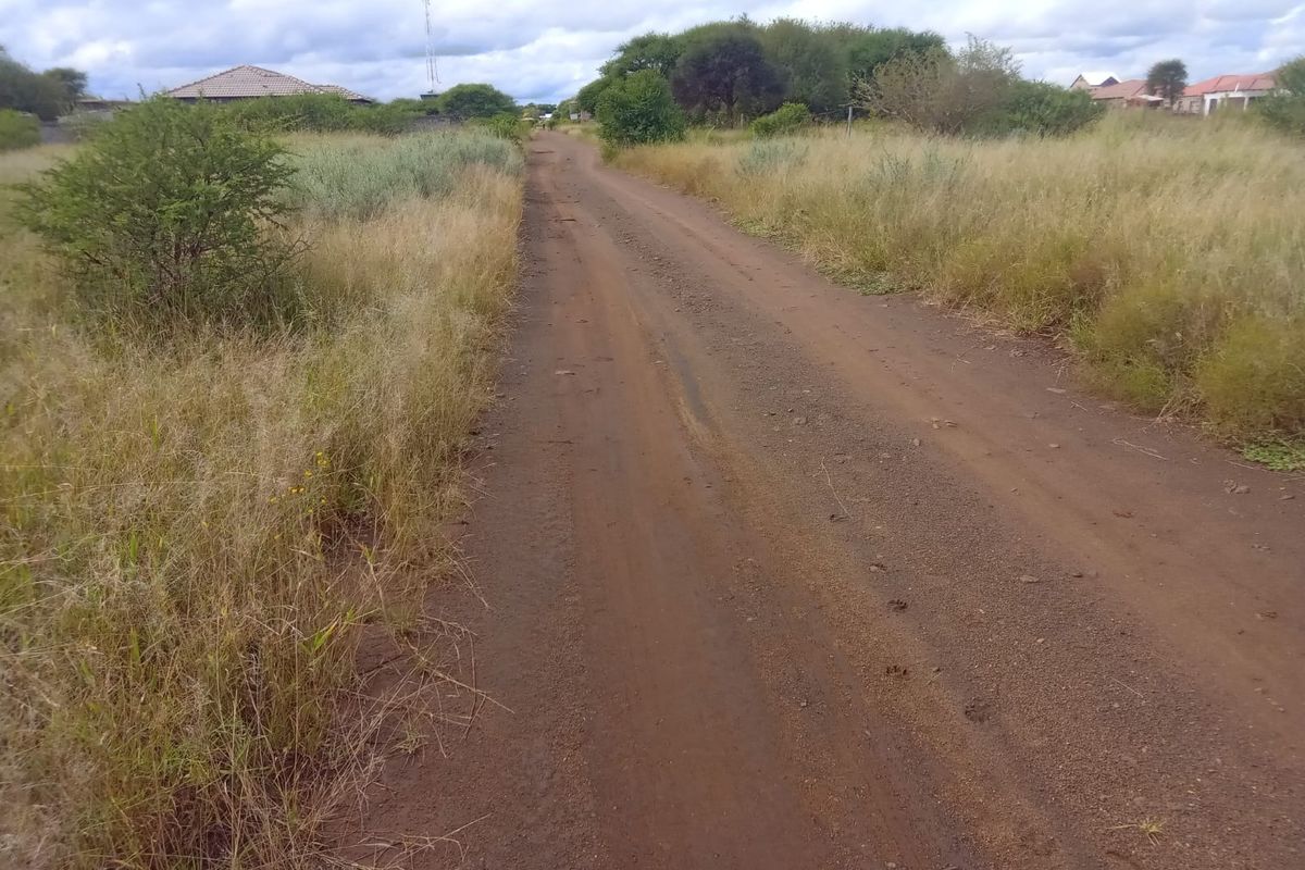 A view of an unpaved dirt road leading through a vacant residential area with natural vegetation.