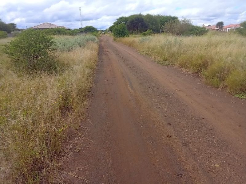 A view of an unpaved dirt road leading through a vacant residential area with natural vegetation.