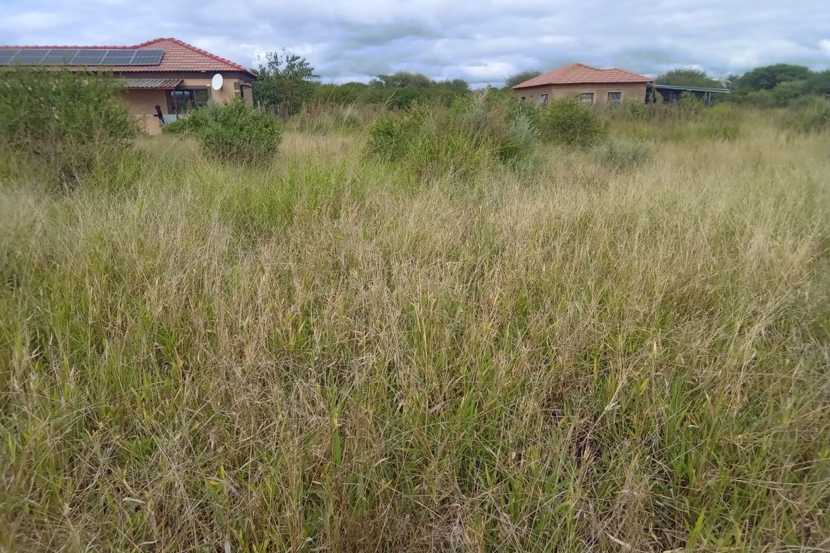 A view of a large, overgrown vacant residential plot with established residential buildings visible in the background.