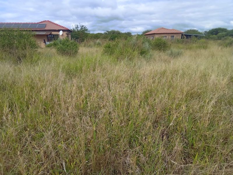 A view of a large, overgrown vacant residential plot with established residential buildings visible in the background.