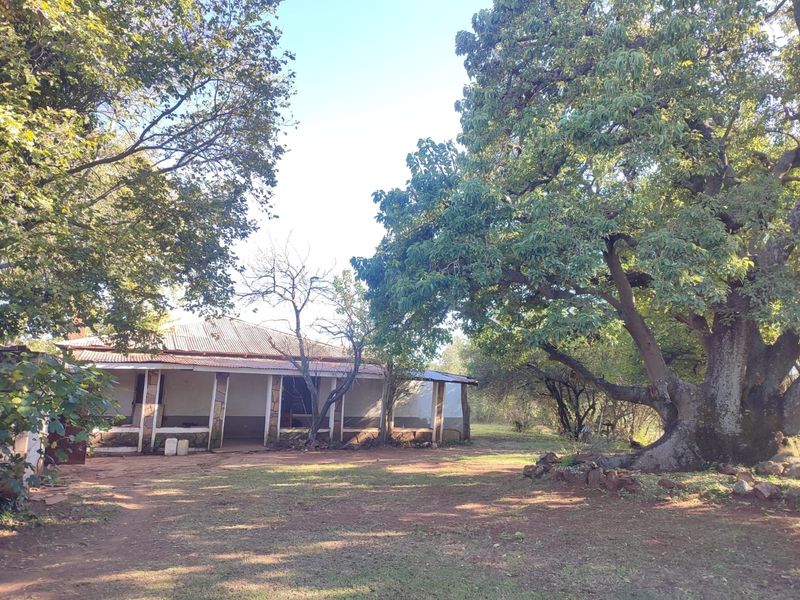 A rustic farm dwelling featuring a covered veranda with stone pillars, set within a spacious garden with large mature trees.