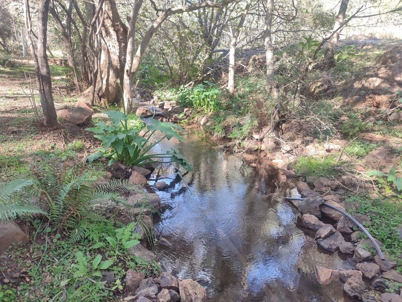 A tranquil natural stream flowing through a landscaped garden area with mature trees and rock features on the farm property.